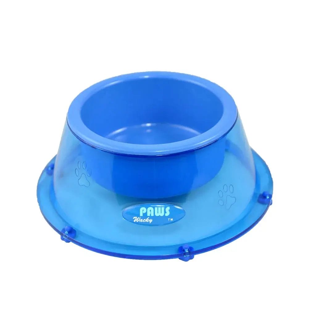 Daily pet feeding routine