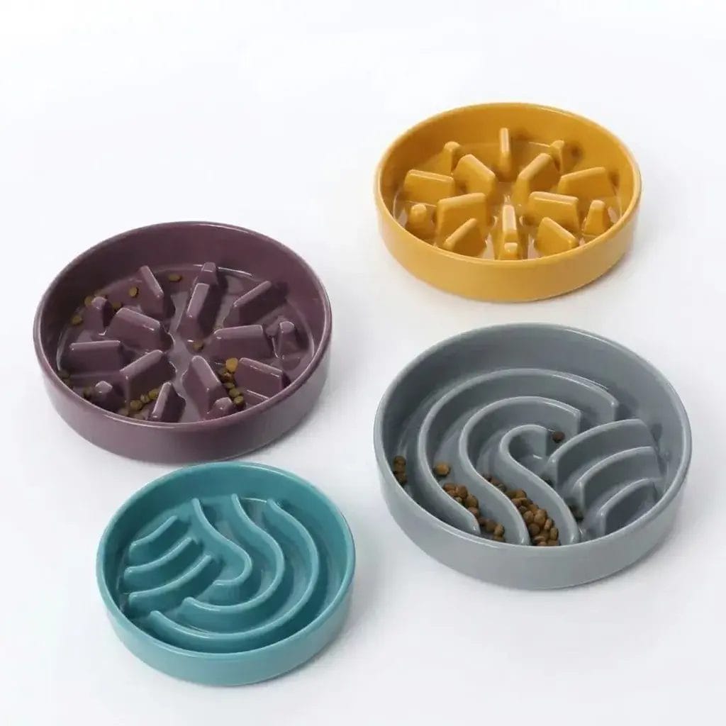 Slow feeder helping a pet eat at a healthy pace