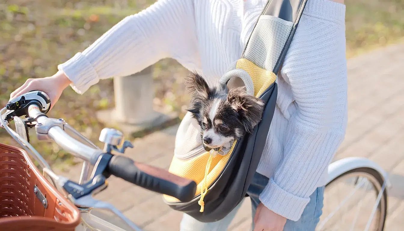Soft-sided pet carrier OEM manufacturing — zippered travel carrier for portability